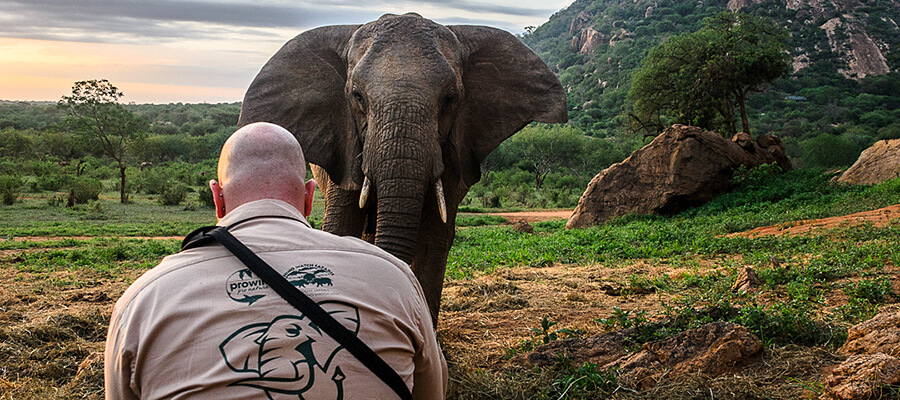 Staande voor een indrukwekkend natuurlandschap kijkt een grote olifant in de richting van een mens