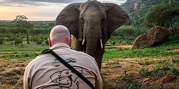 proWIN pro nature soutient le David Sheldrick Wildlife Trust